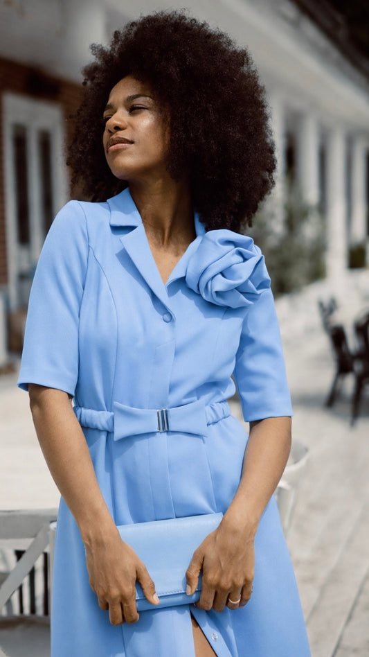 Button-up dress with lapels